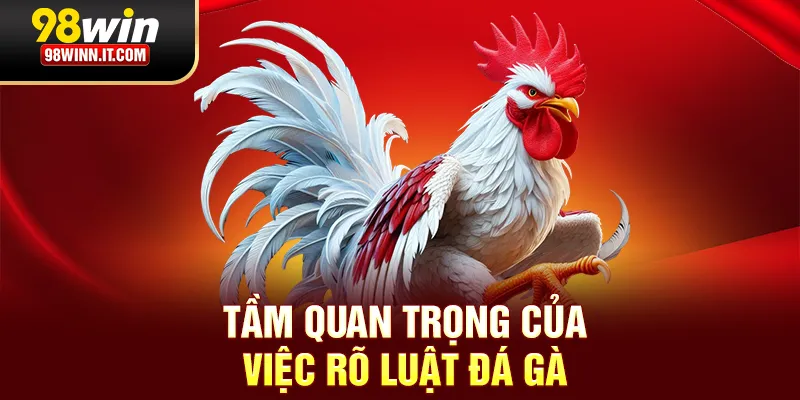 Tầm quan trọng của việc rõ luật đá gà