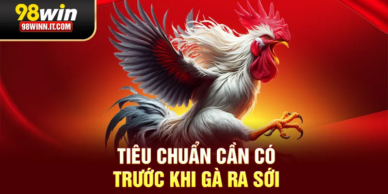 Tiêu chuẩn cần có trước khi gà ra sới